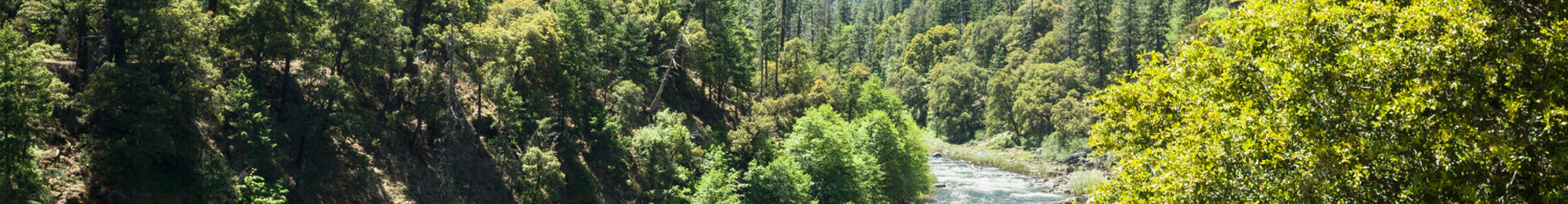 Scotts Valley Banner